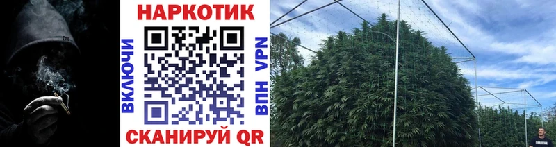 Где купить наркотики Ивангород ЭКСТАЗИ  МЕФ  Alpha PVP  ГАШ  COCAIN  OMG зеркало  Канабис 