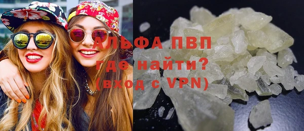 стафф Алзамай