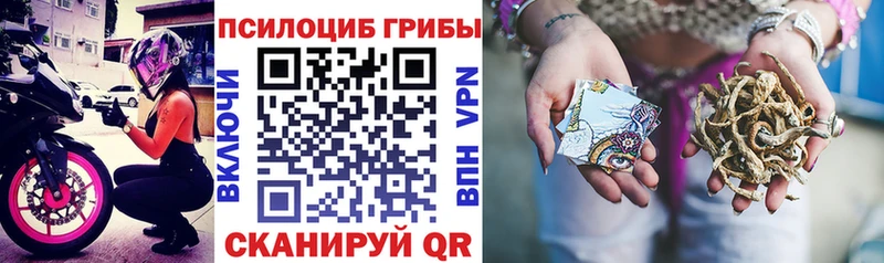Псилоцибиновые грибы ЛСД  Ивангород 